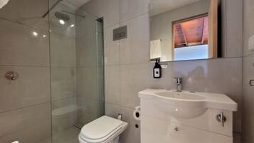 Shower, rainfall showerhead, hair dryer, bidet