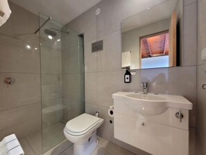 Shower, rainfall showerhead, hair dryer, bidet