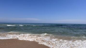 Plage à proximité, chaises longues, serviettes de plage