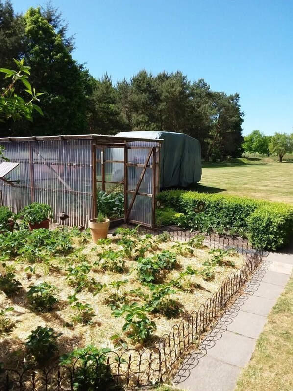 Overnatningsstedets område