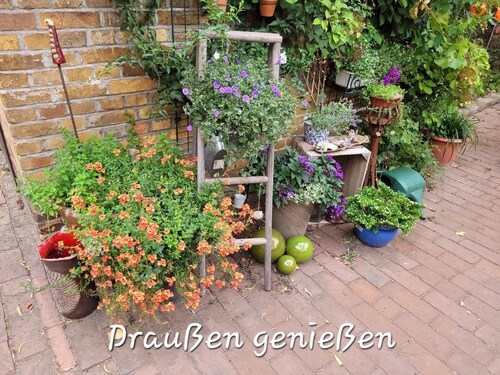 Stilvolle FeWo Finsterwalde