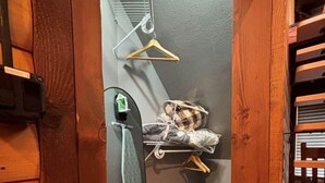 Un pasillo estrecho con paredes de madera, un perchero metálico con ganchos, un estante pequeño con un almohadón y un taburete negro.
