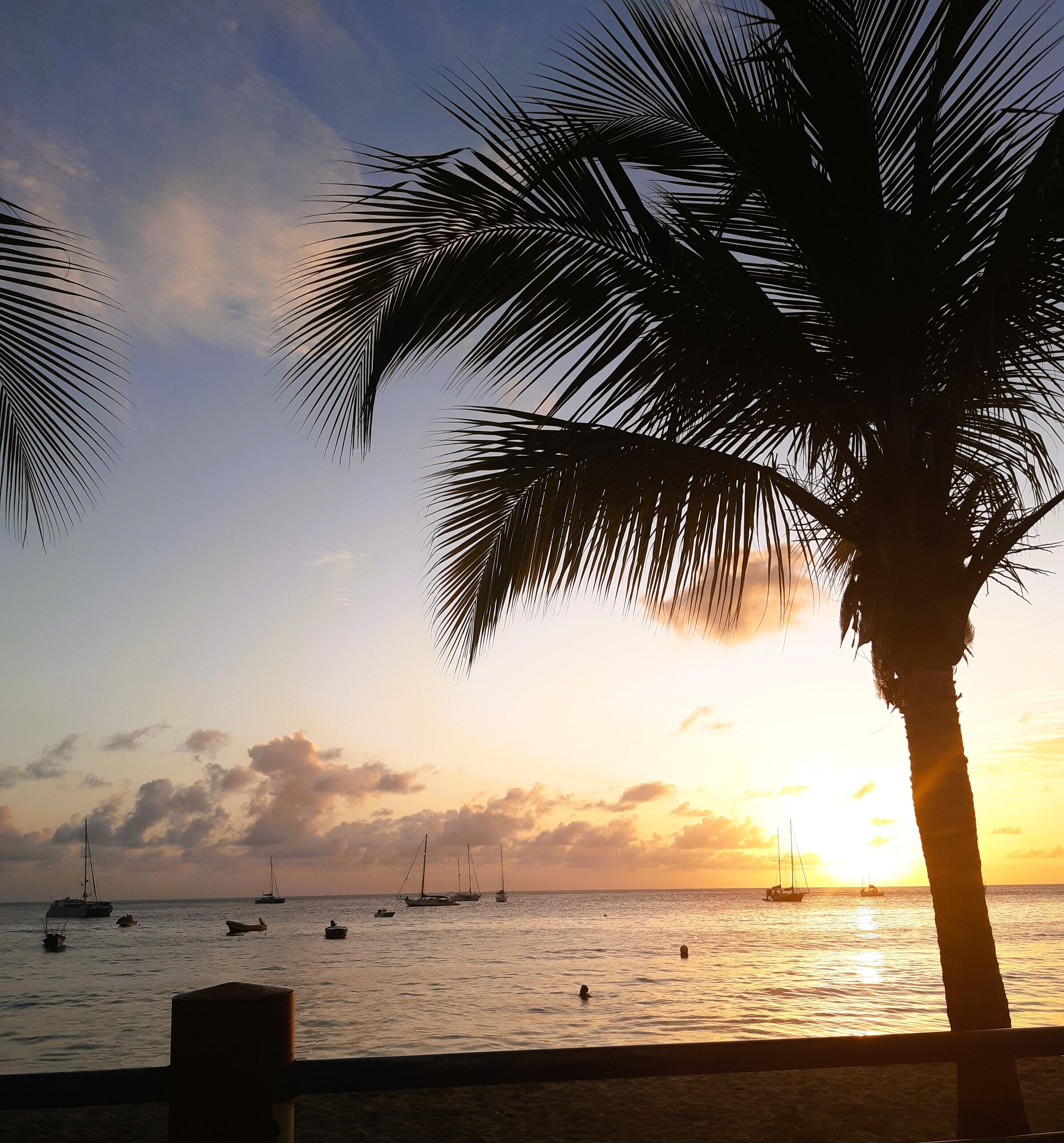 A beach scene with a palm tree and boats in the water during sunset.