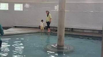 Hồ bơi trong nhà