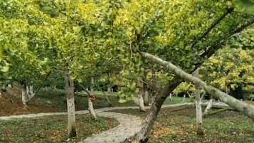 Jardines del alojamiento