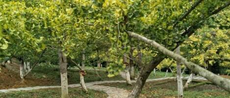 Overnattingsstedets uteområder