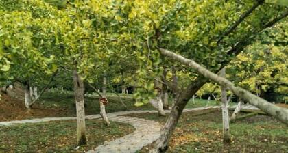 Hongmei Hot Spring Hostel