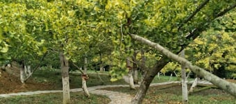 Hongmei Hot Spring Hostel