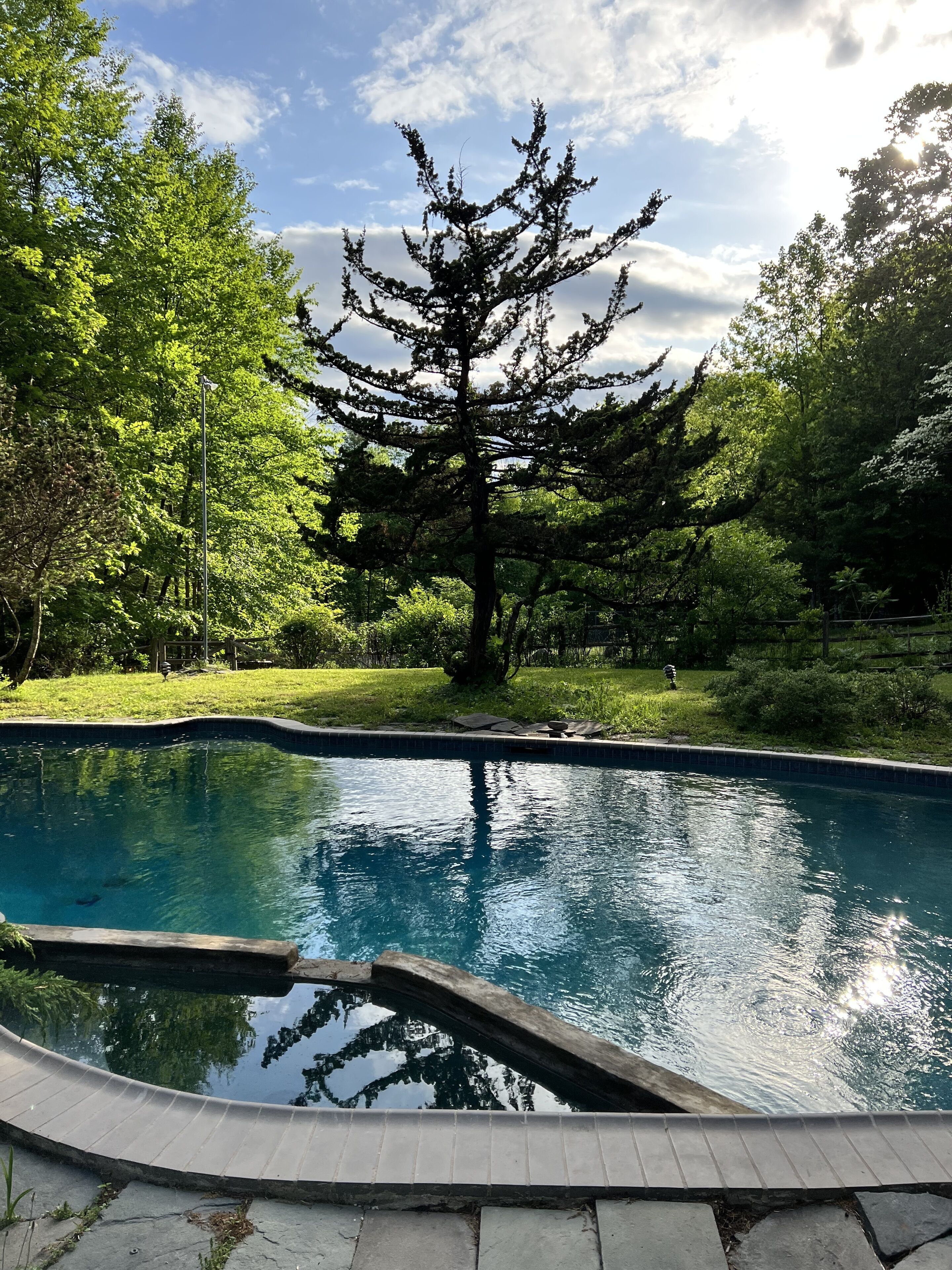 12 private mtnside acres, salt pool, tennis court, Japanese teahouse gardens