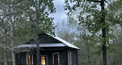 Cozy Little House in the Woods