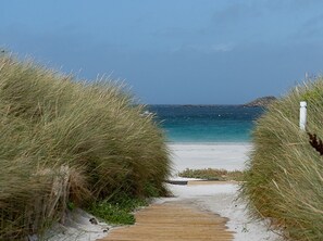 Ein Strandweg, der zum Meer führt, umgeben von Gras.