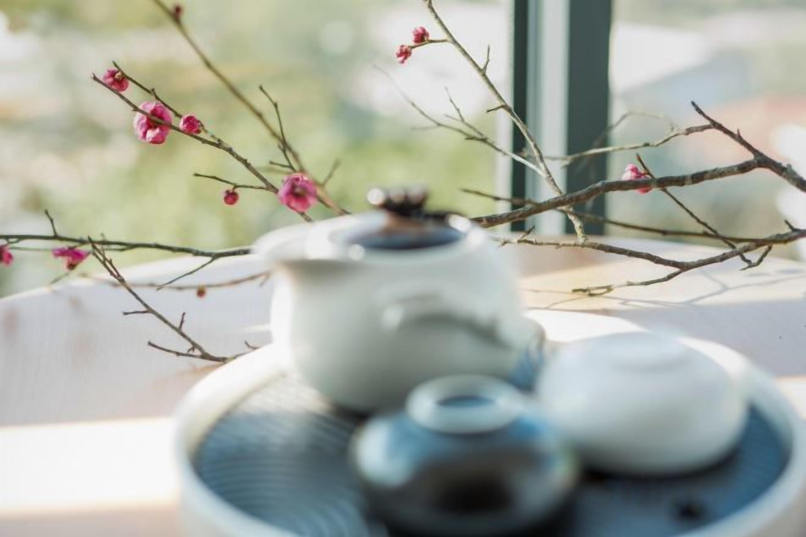 Une théière posée sur une assiette, accompagnée d’une tasse et d’un sous-tasse, le tout placé sur une table ornée d’une branche aux fleurs roses.