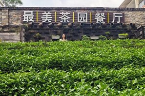 Property grounds - Xingwan Tianranju（South Entrance of Wuyi Mountain National Park） (Wuyishan)