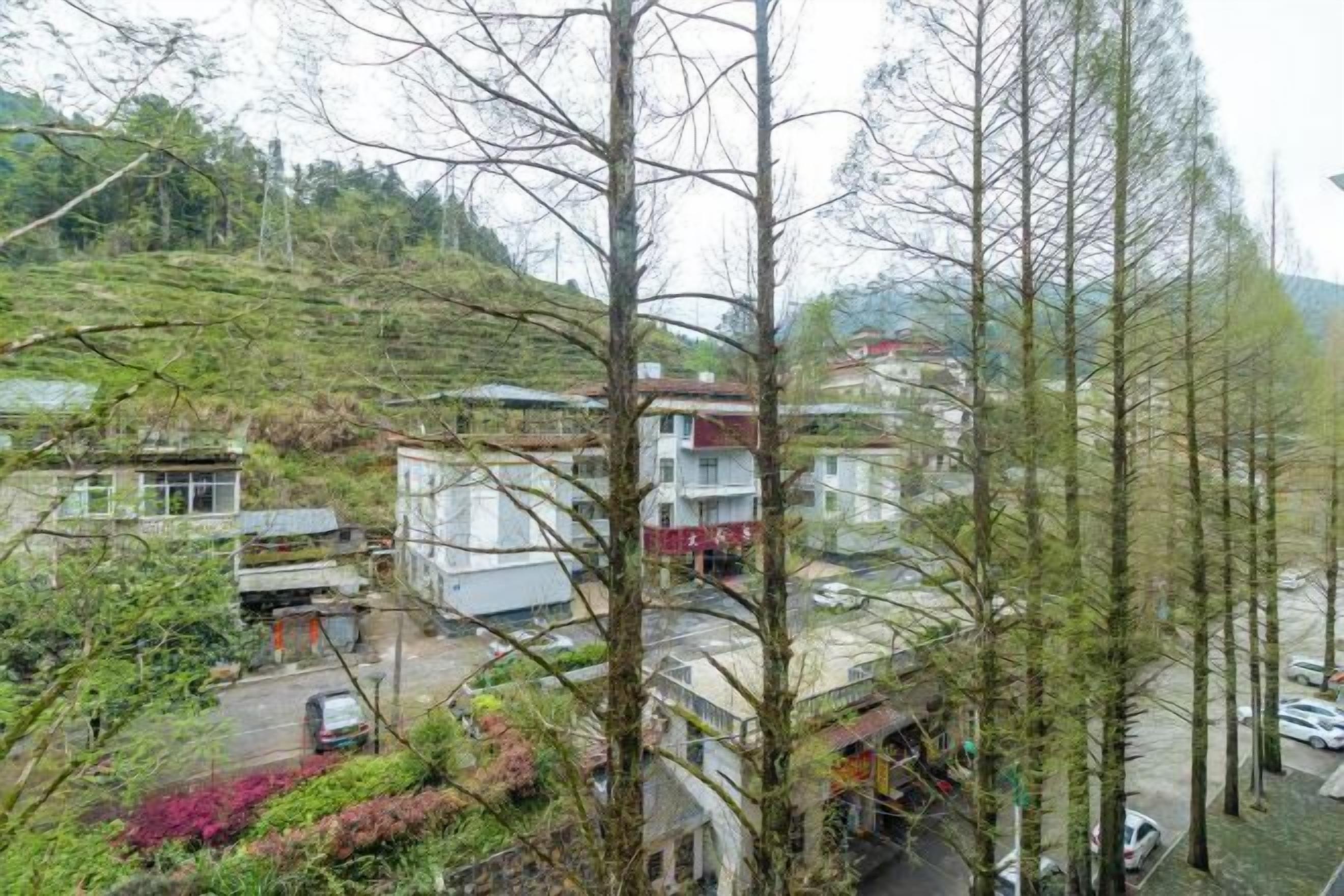 A residential area with houses, a road, and trees.