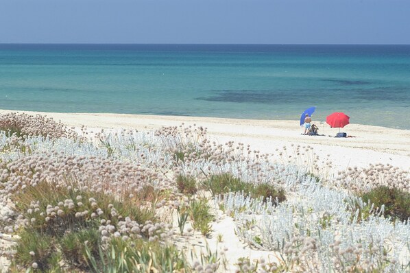 Une plage de sable blanc bordée d’une eau d’un bleu limpide. On y voit deux parasols, l’un bleu et l’autre rouge, plantés dans le sable.