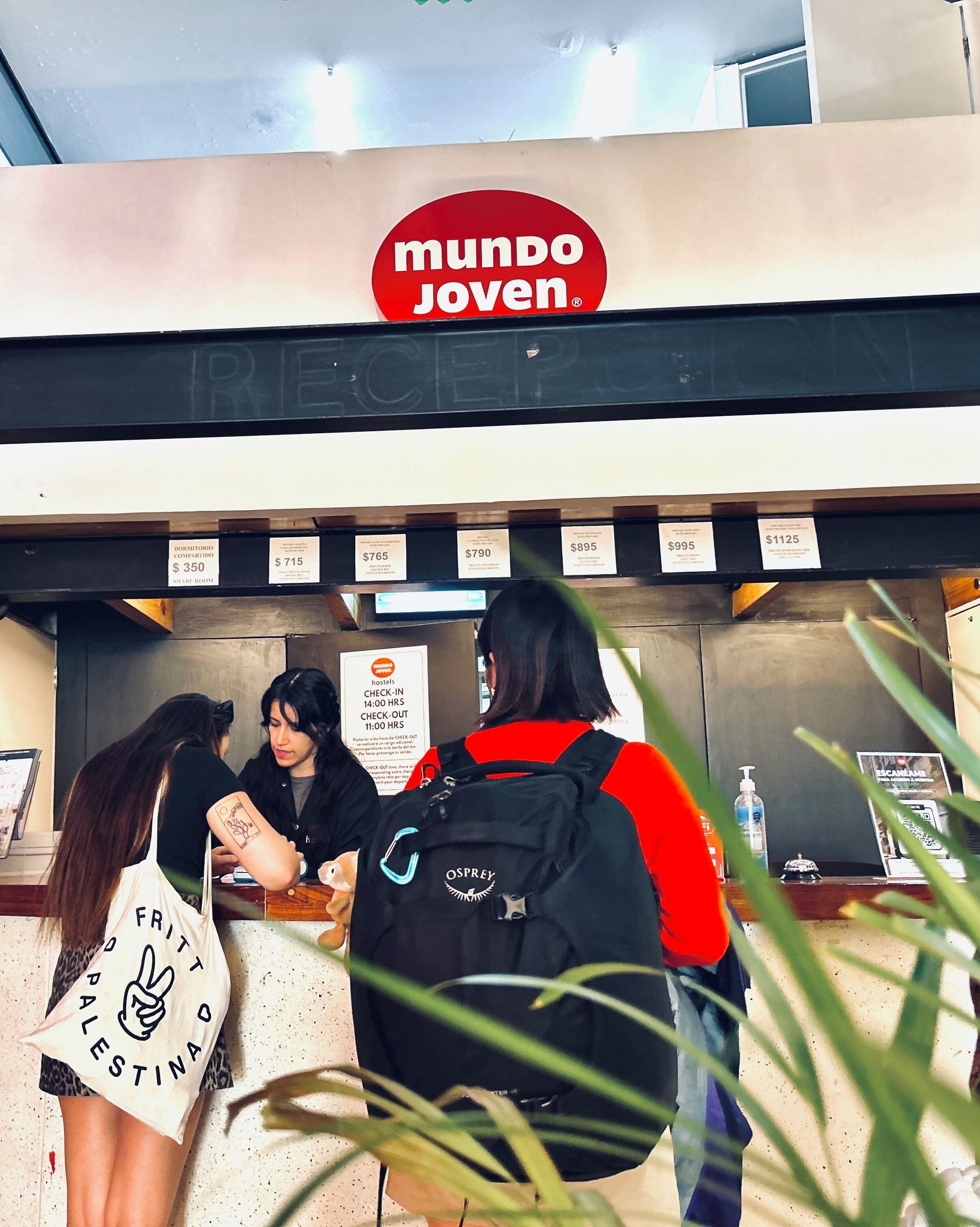 Foto - Hostel Mundo Joven