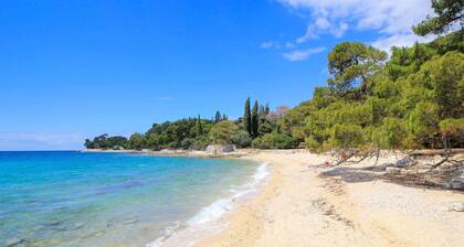 Beautiful istrian villa for 8 people with swimming pool