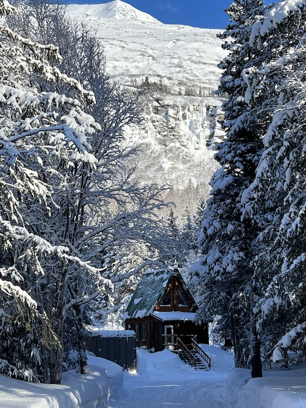المنشأة من الخارج