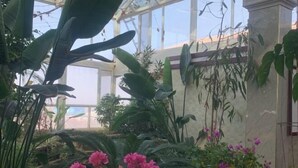 Un invernadero con diversas plantas y flores, incluyendo capullos rosados y hojas verdes grandes.