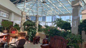 Un invernadero con techo de cristal, muebles de madera y diversas plantas en macetas.