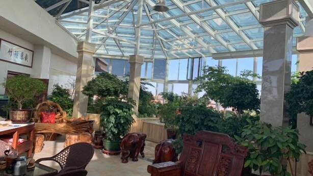 A conservatory with a glass ceiling, wooden furniture, and various potted plants. - Ju De Hotel (Jiayuguan)