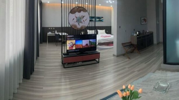 Una habitación de hotel moderna con televisión, cama, escritorio y un panel decorativo en la pared.