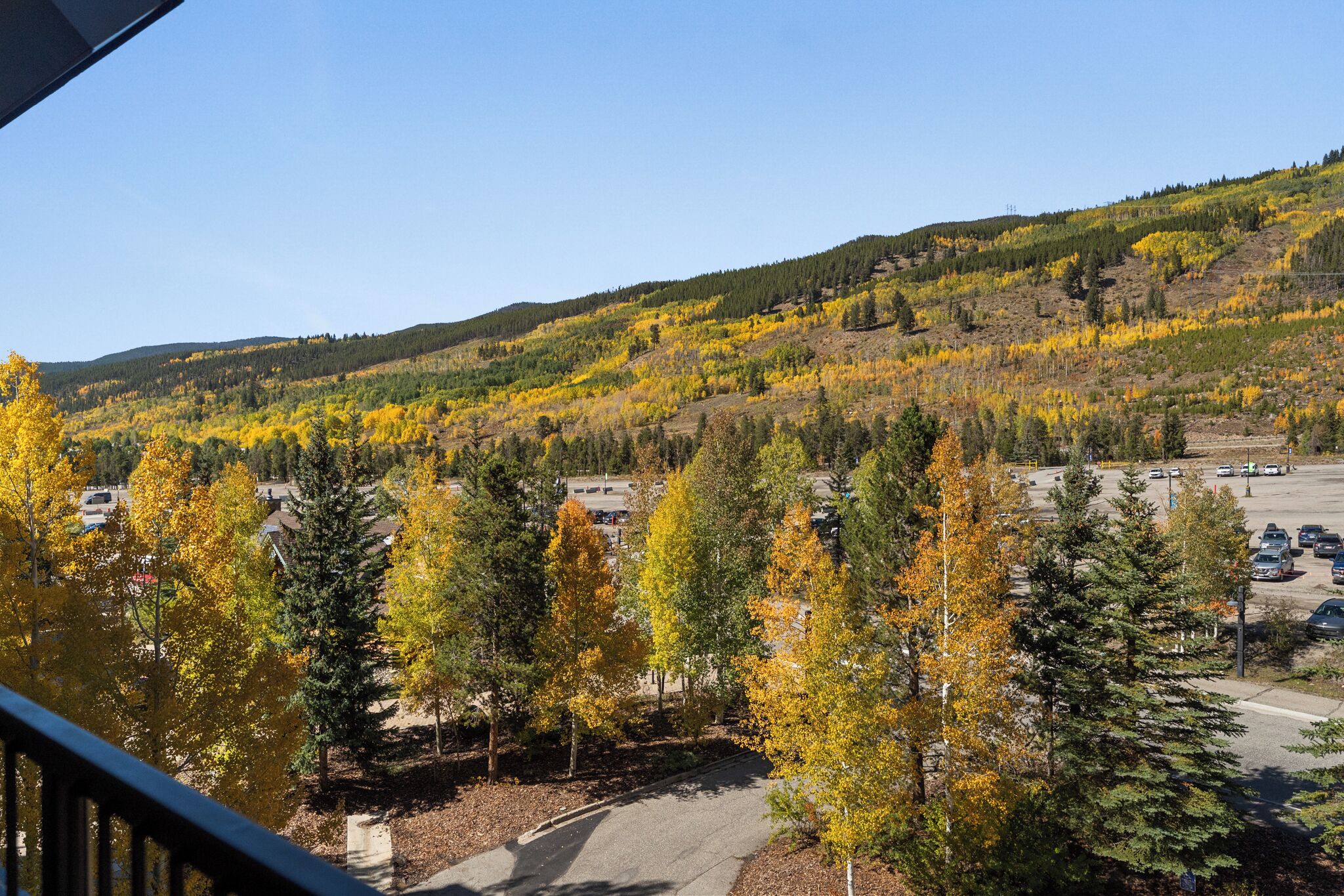A view of a parking lot with cars and a road leading to a residential area with autumn-colored trees.