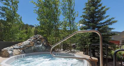 Black Bear #8038 by Summit County Mountain Retreats