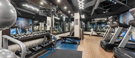 A gym with treadmills, dumbbells, and exercise balls.