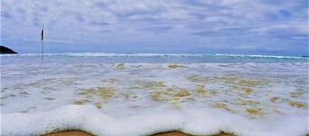 Essência da Guarda Surf House