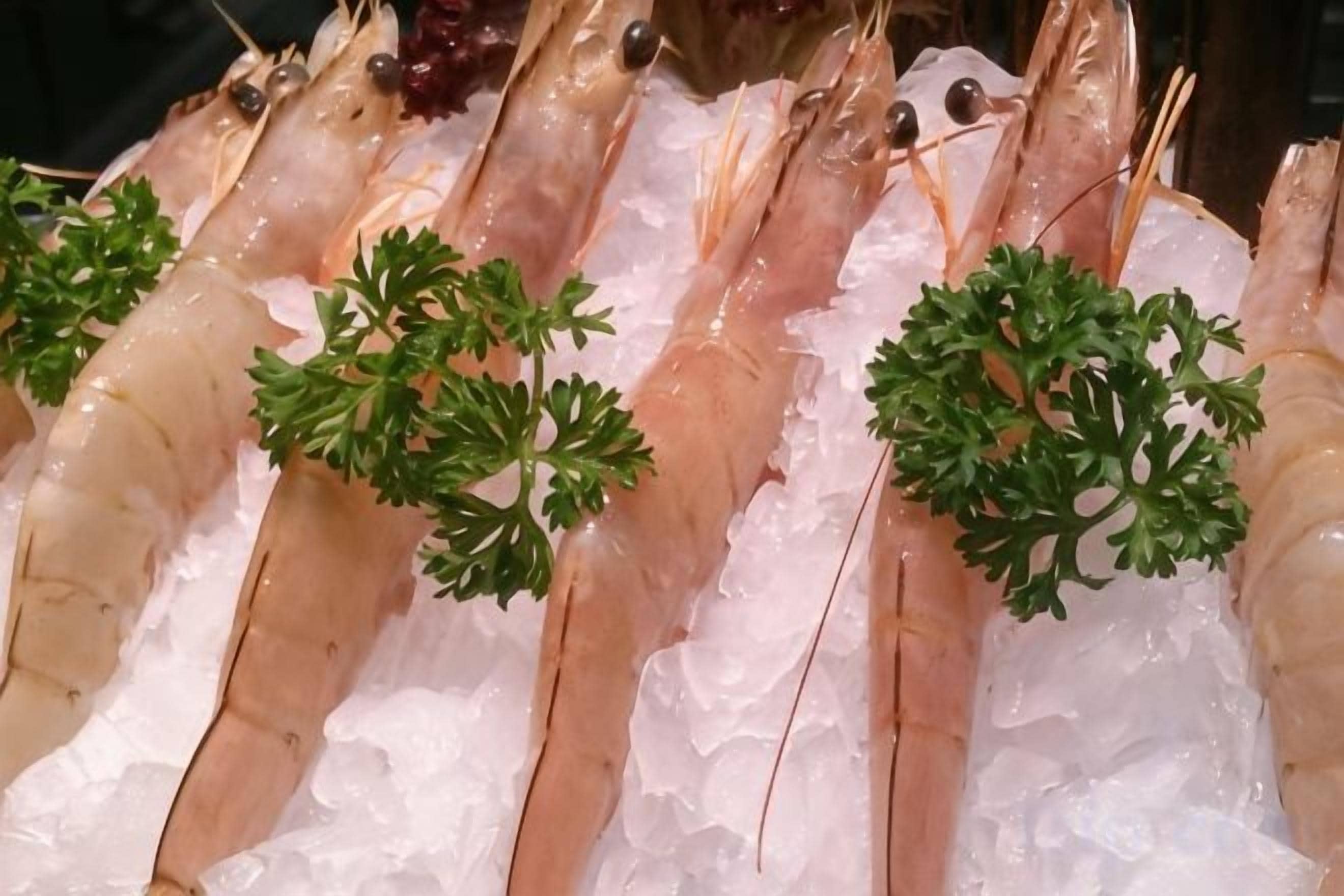 A display of shrimp on ice with parsley garnish.