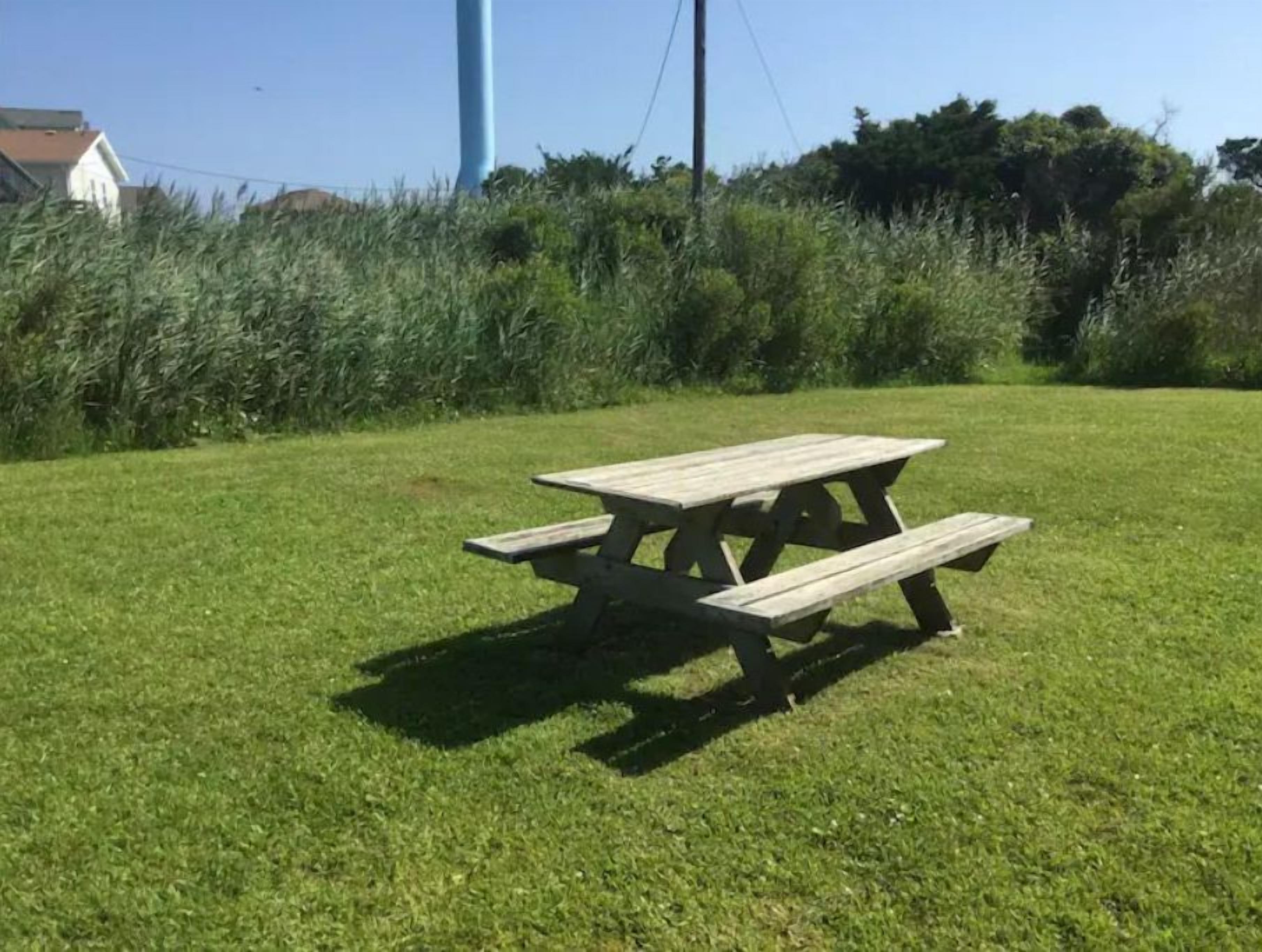 Ein Holztisch für ein Picknick in einer grünen Umgebung, mit blauem Himmel und etwas Vegetation im Hintergrund.