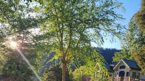 A house with a deck, surrounded by a well-maintained lawn and trees, with a mountain in the background. - Strawhouse Resorts (Big Bar)