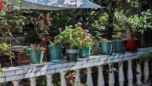 Un balcón con plantas en macetas y un paraguas grande.