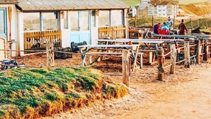 A rustic building with a wooden deck and a small table, surrounded by a fenced area with hay bales.