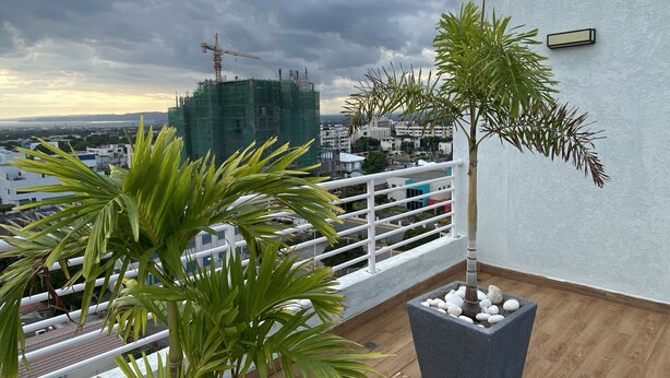 Uma varanda com planta em vaso e vista para uma construção ao fundo.