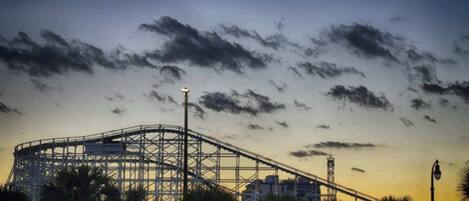 A roller coaster at dusk with a clear sky and palm trees in the foreground.