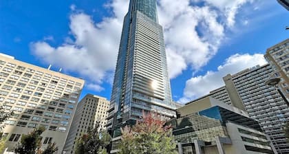 Family Size junior 2 bedroom condo walk to Sick Kids hospital. Sleeps 6. Pets OK