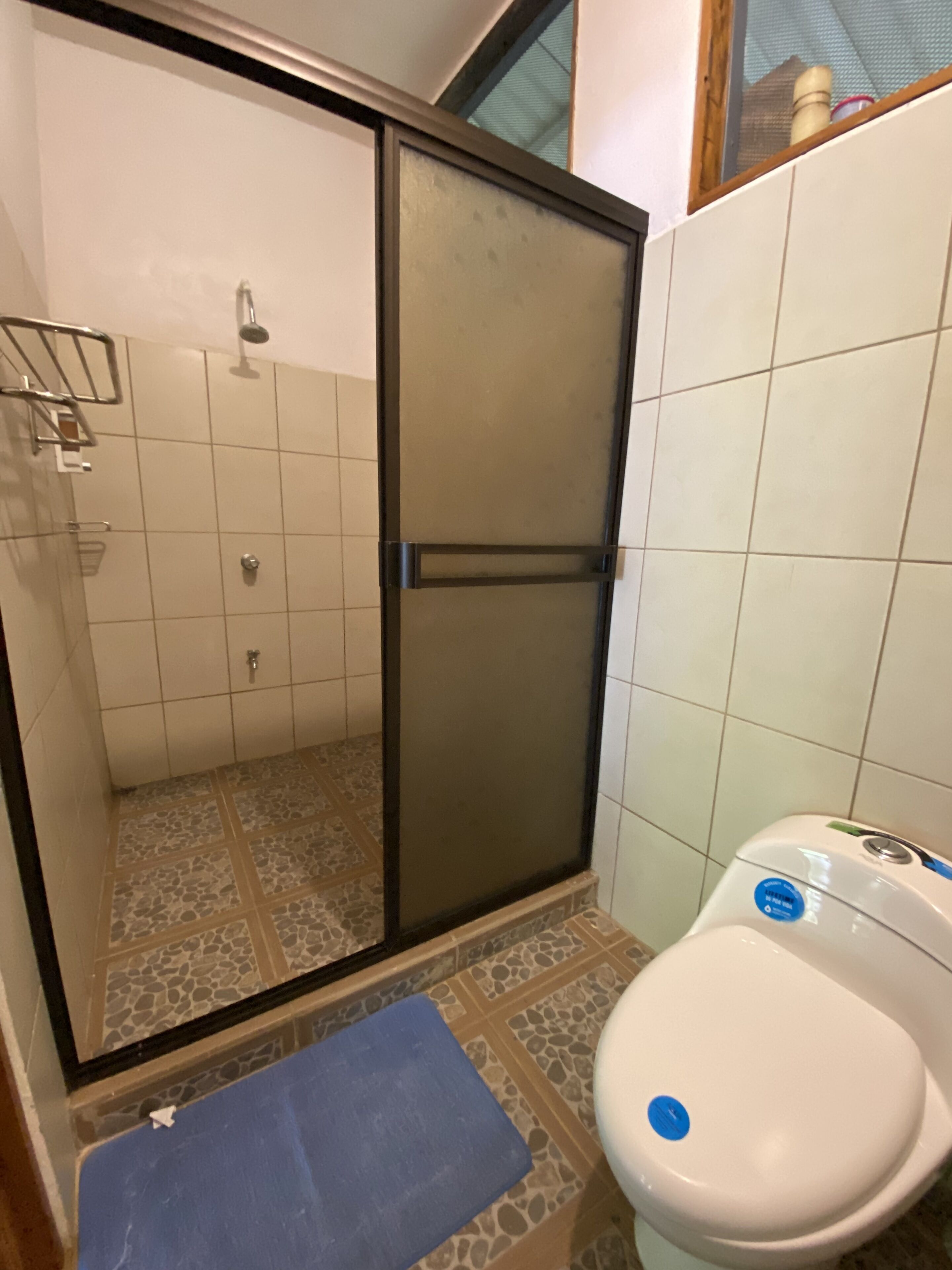 Une salle de bain avec une douche, des toilettes et une fenêtre.