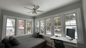 TV, fireplace, books, computer monitors