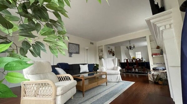 TV, fireplace, books, computer monitors