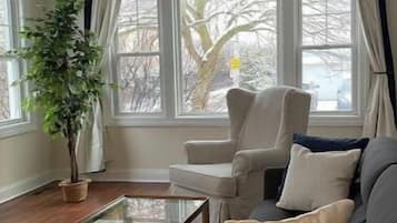 TV, fireplace, books, computer monitors