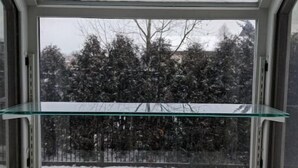 A skylight window with a clear view of snow-covered trees outside. - Sleepy Sanctuary  (Evanston)