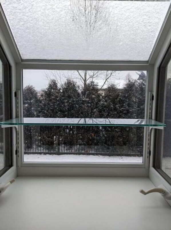 Ein Dachfenster mit freiem Blick auf schneebedeckte Bäume.