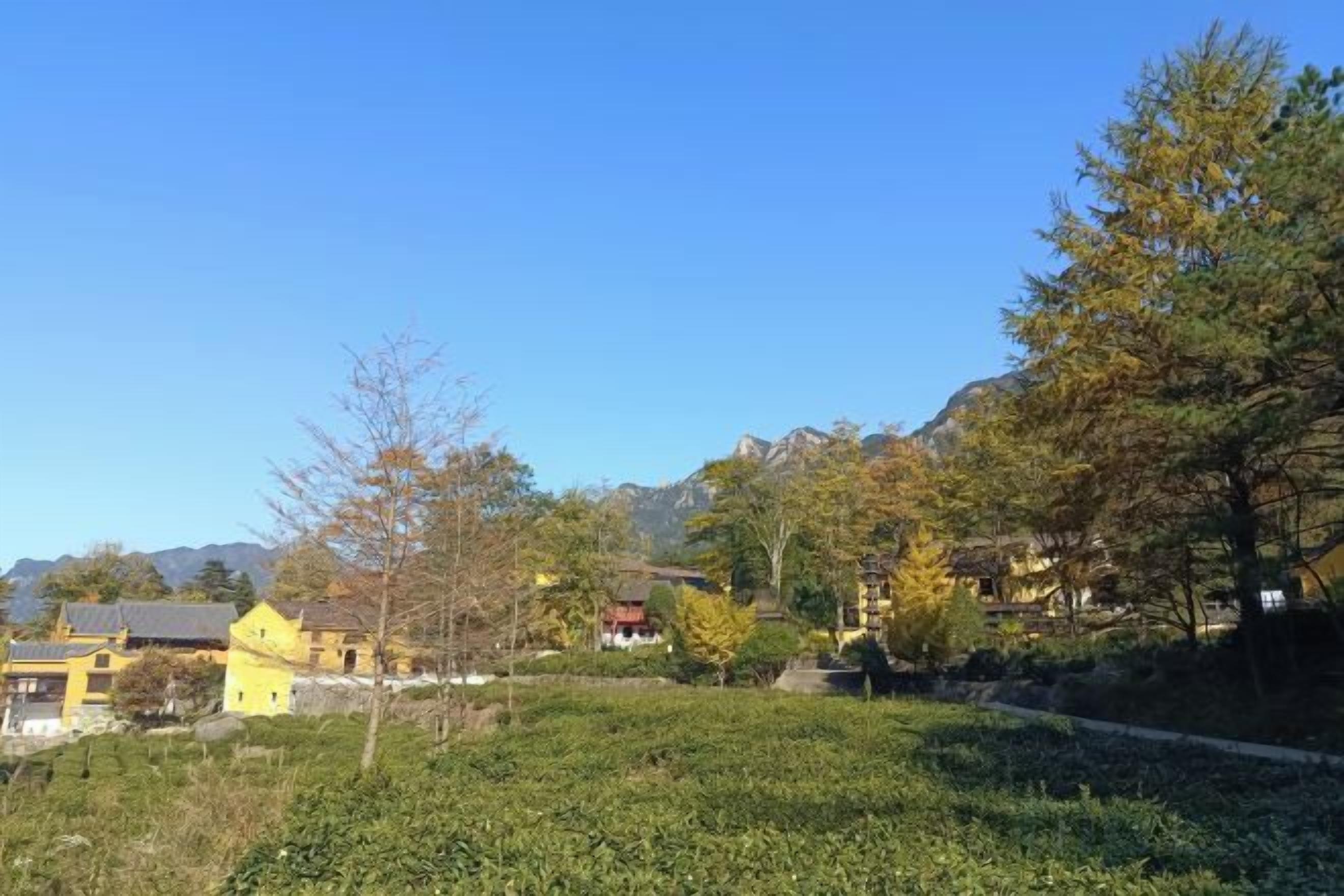 Un paysage rural avec un ciel dégagé, un sentier et des maisons en arrière-plan.