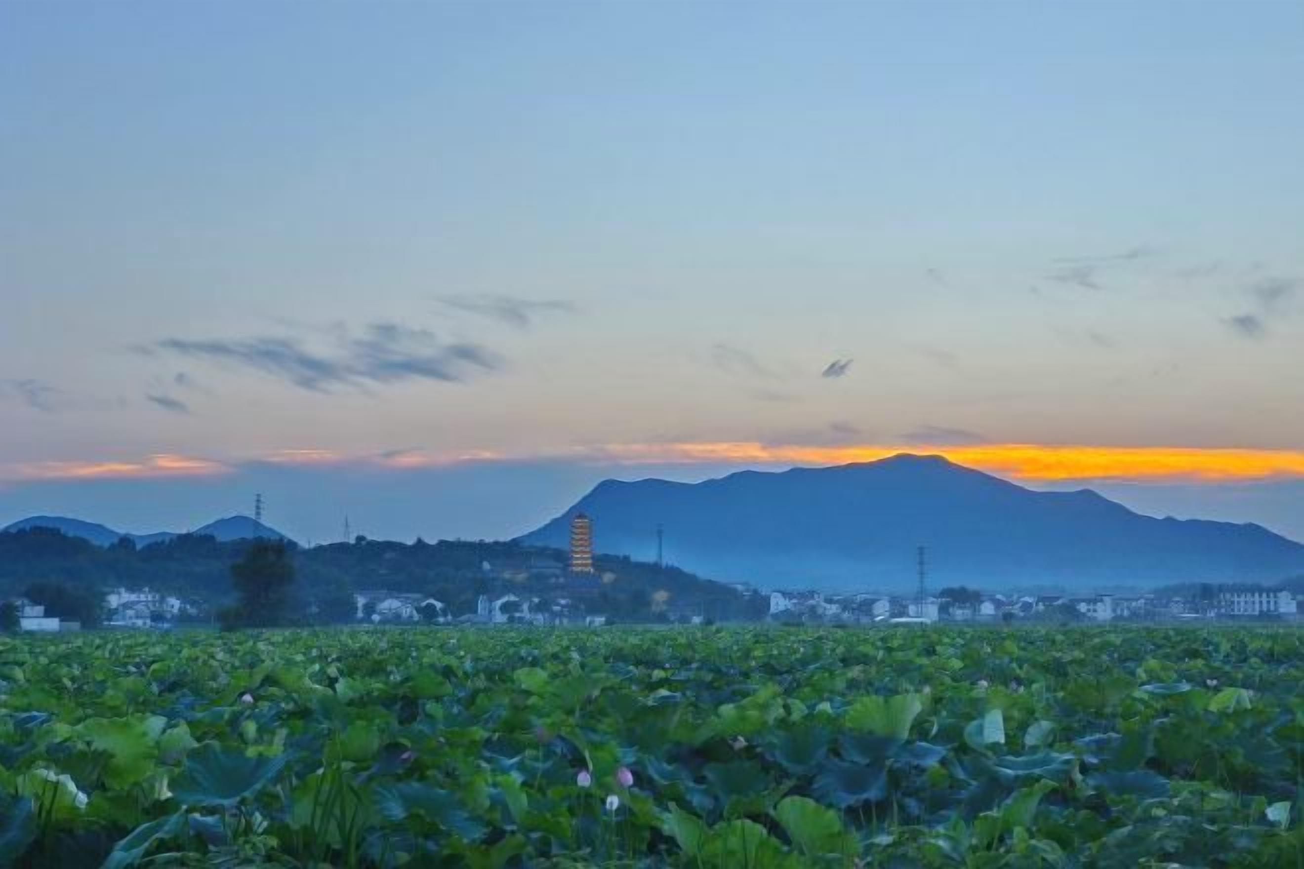 A landscape with a mountain in the background, a tower, and a field of green plants.