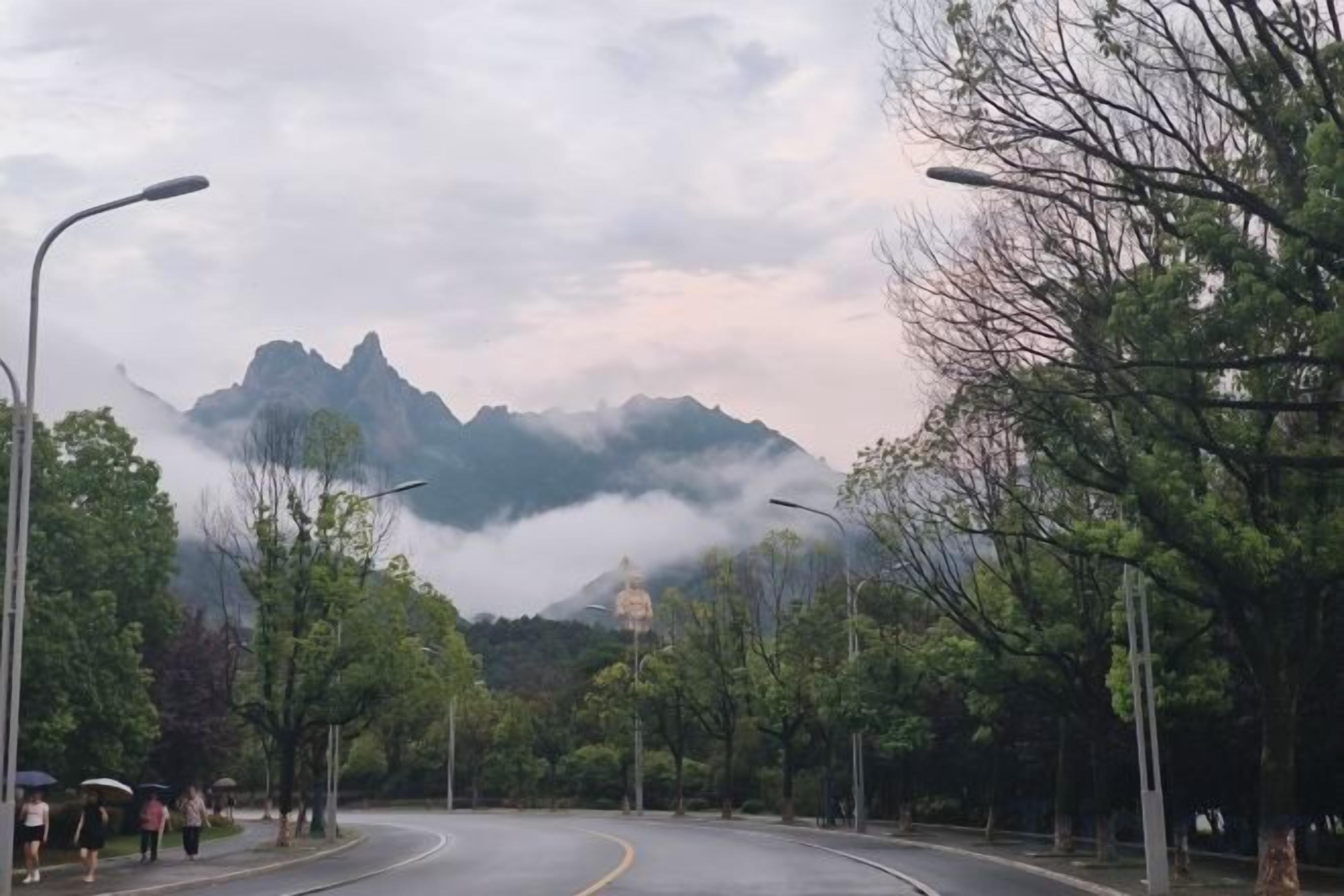 A road curving through a park with trees and a mountain in the background.