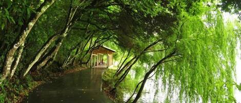 A covered walkway through a dense, green forested area with a small pavilion at the end.