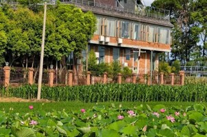 A two-story building with a brick facade, surrounded by a garden with lotus flowers and a cornfield.