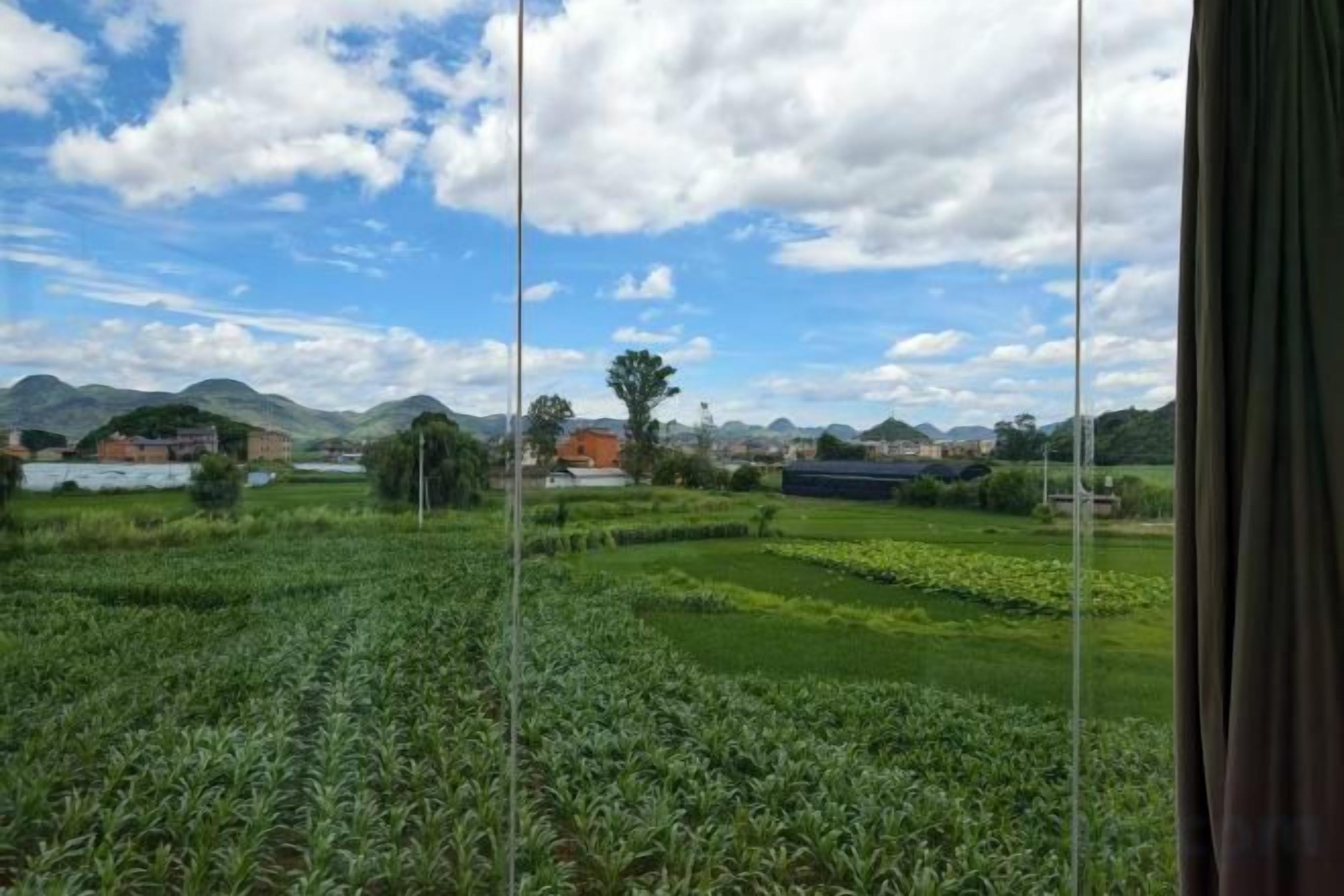 Vista de un campo verde bajo un cielo despejado y edificios a lo lejos.